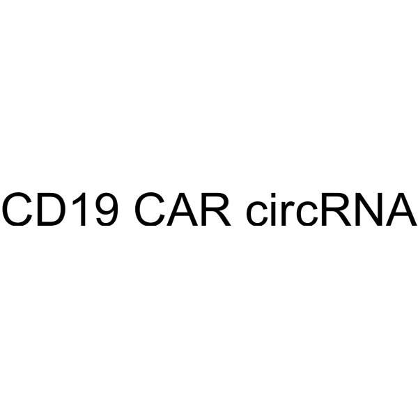 CD19 CAR circRNA